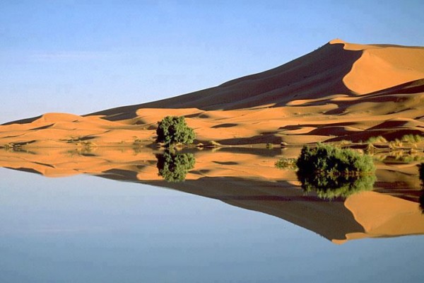 Desert Tours